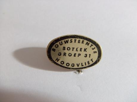 hoogvliet Botlek groep 31 bouwstenen speldje goudkleurig